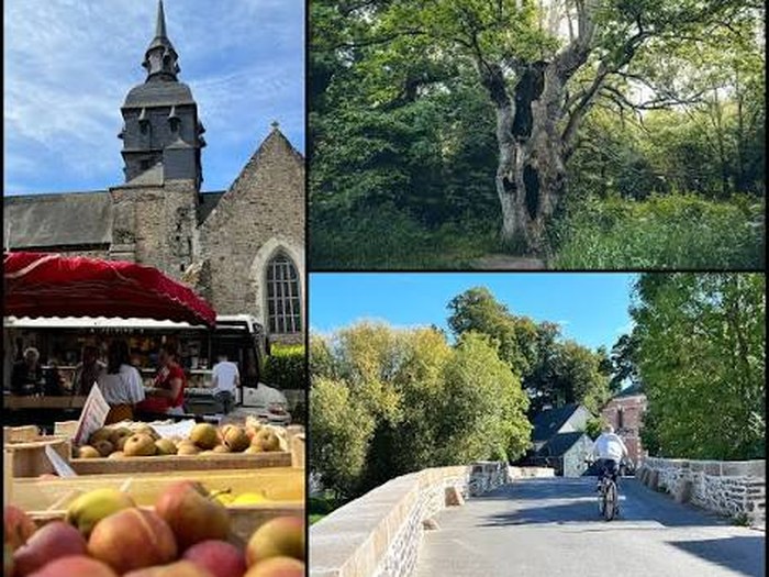 Pacé – zone d'intervention Yuzu Service